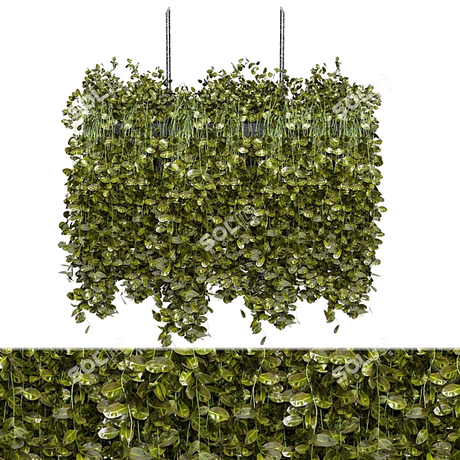 Elegant Metal Box With Hanging Plants 3D model image 2