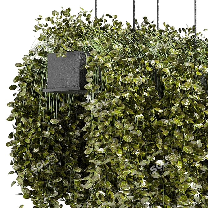 Elegant Metal Box With Hanging Plants 3D model image 3