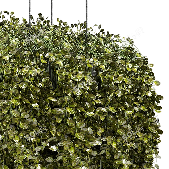 Elegant Metal Box With Hanging Plants 3D model image 4