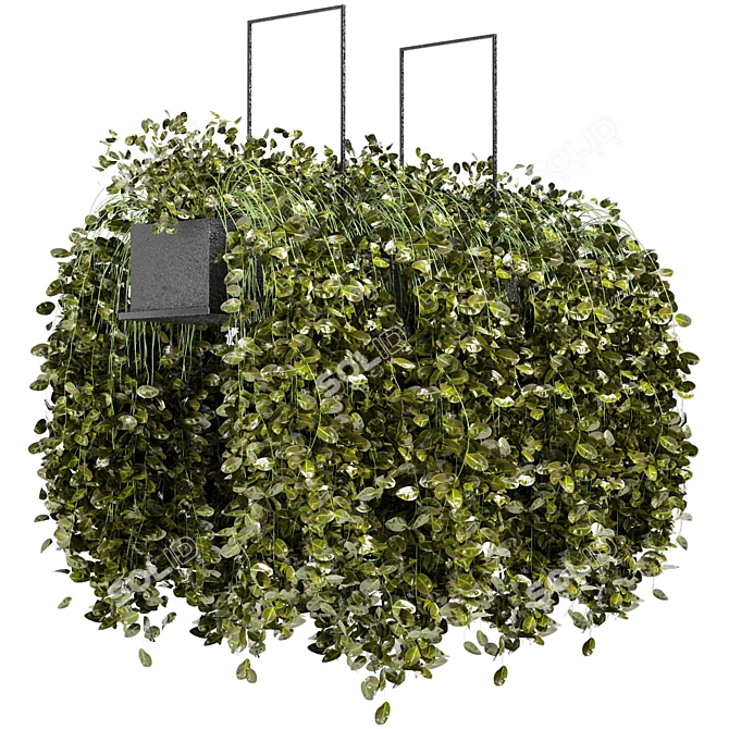 Elegant Metal Box With Hanging Plants 3D model image 5