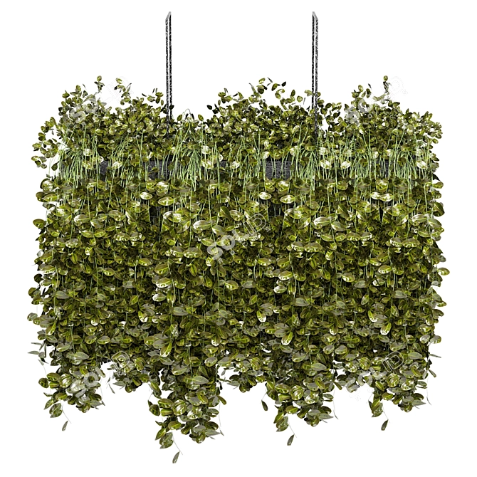 Elegant Metal Box With Hanging Plants 3D model image 6