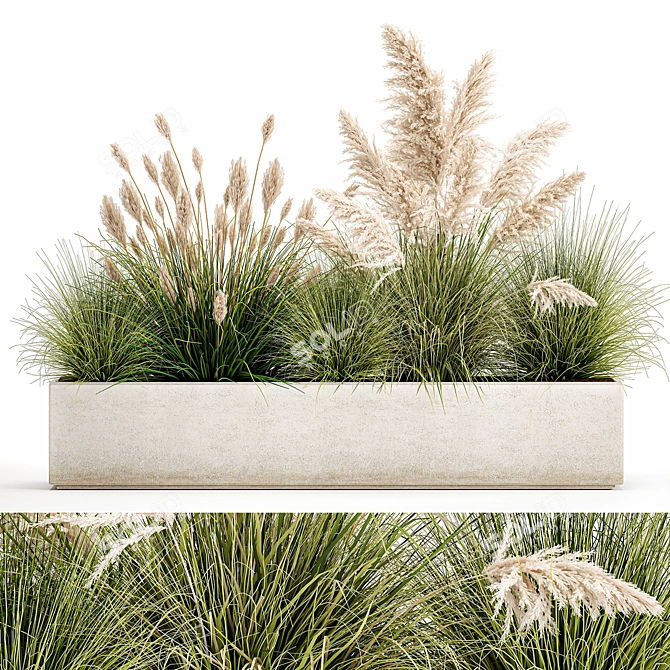 Exotic Plant Assortment: Indoor & Outdoor Ornamentals 3D model image 1