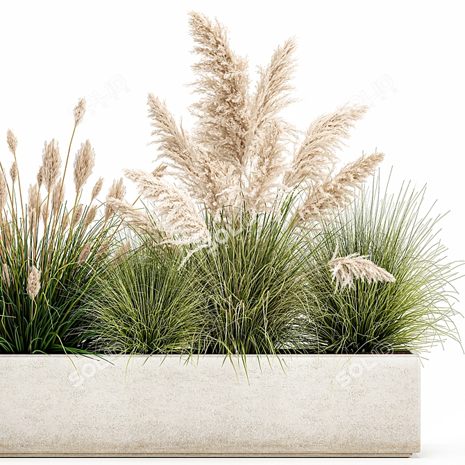 Exotic Plant Assortment: Indoor & Outdoor Ornamentals 3D model image 2