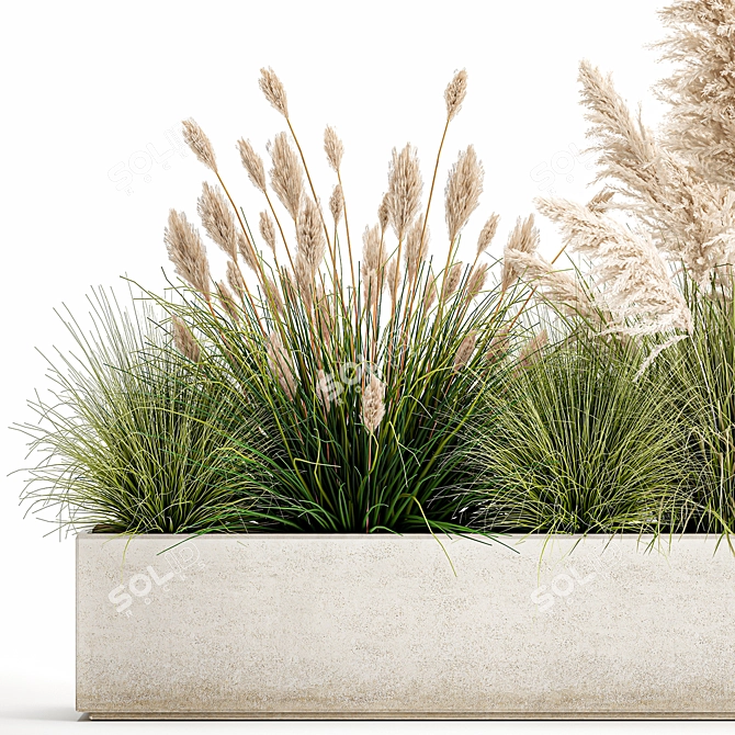 Exotic Plant Assortment: Indoor & Outdoor Ornamentals 3D model image 3