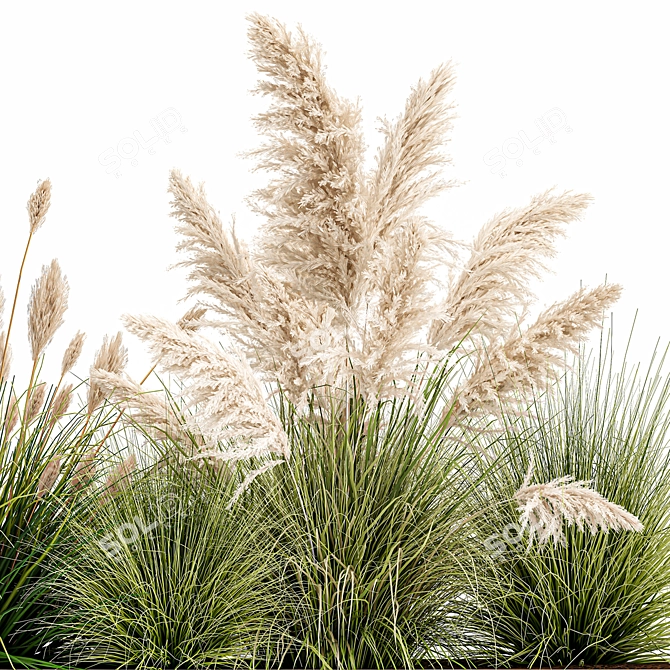 Exotic Plant Assortment: Indoor & Outdoor Ornamentals 3D model image 5