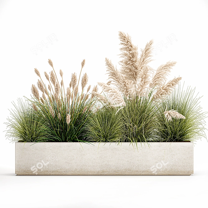 Exotic Plant Assortment: Indoor & Outdoor Ornamentals 3D model image 6