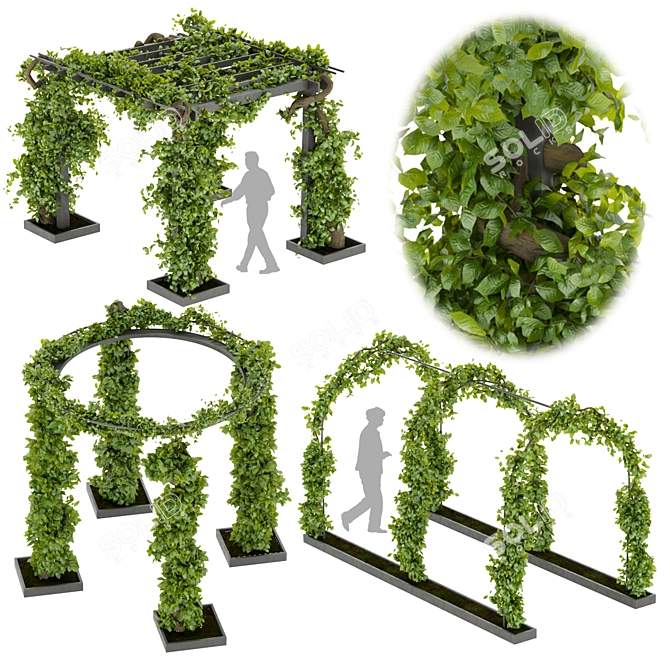 Vertical Fitowall Garden Plant Collection 3D model image 6