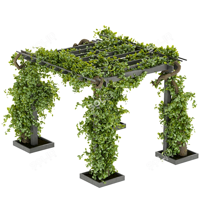 Vertical Fitowall Garden Plant Collection 3D model image 7