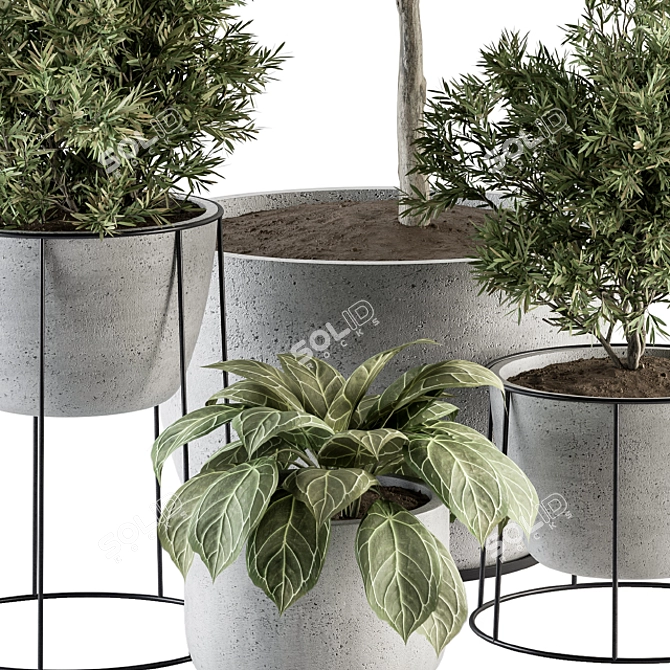 308 Indoor Plant Set: Tree & Plant in Black Pot 3D model image 2