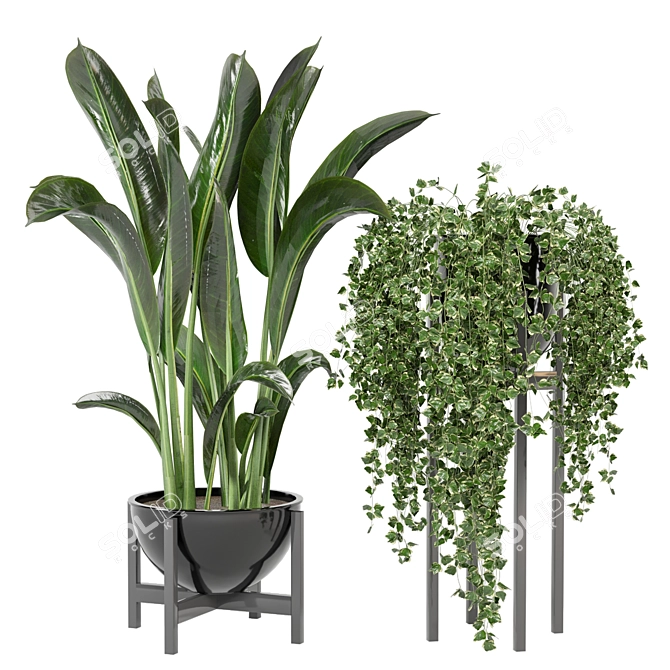 Modern Indoor Plants Set for Ferm Living Bau Pot 3D model image 1