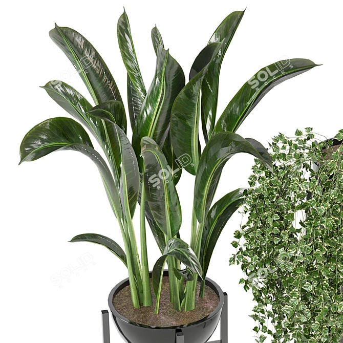 Modern Indoor Plants Set for Ferm Living Bau Pot 3D model image 2