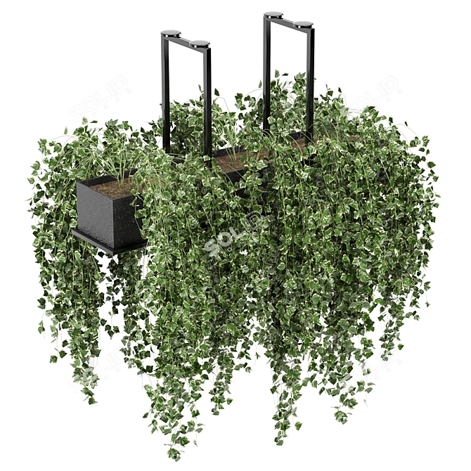 Metalbox Indoor Hanging Plants Set 3D model image 1