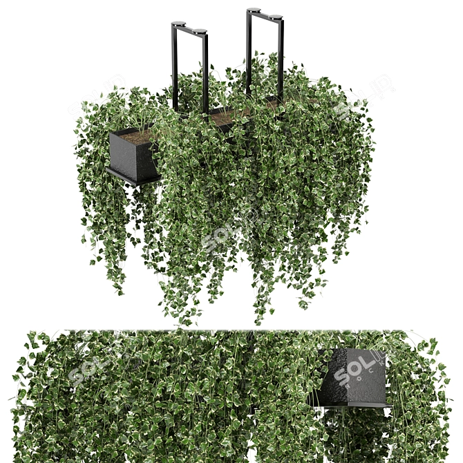 Metalbox Indoor Hanging Plants Set 3D model image 2