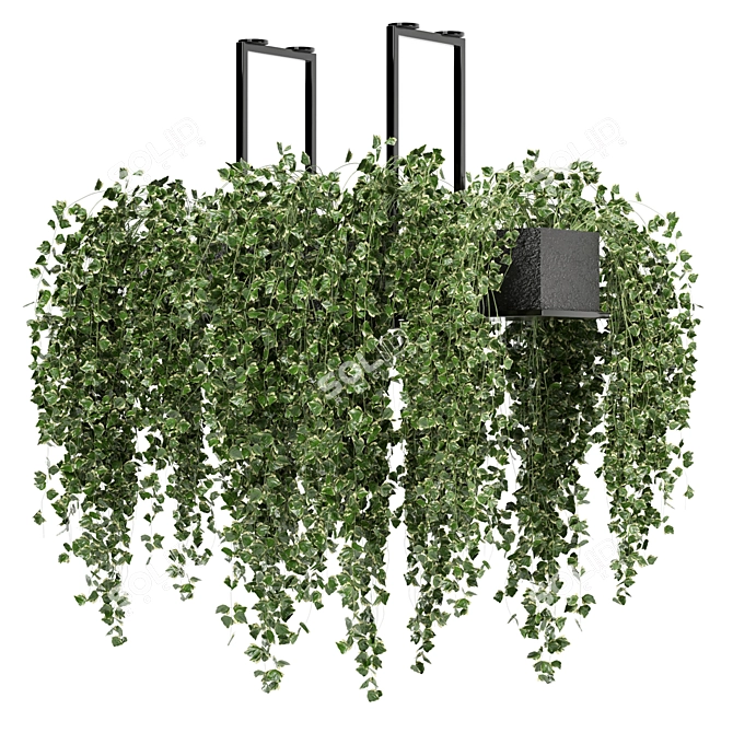 Metalbox Indoor Hanging Plants Set 3D model image 3