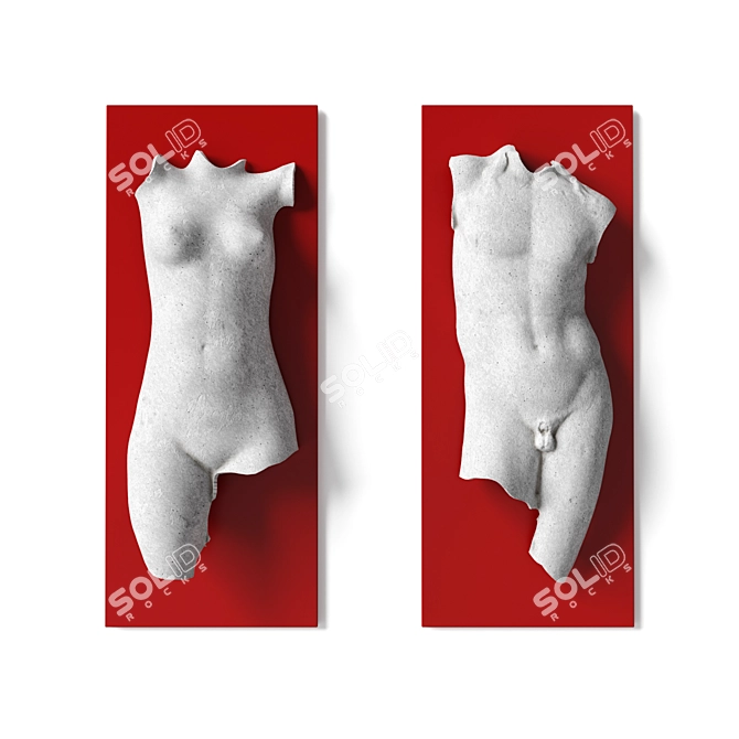 Dual Torso Wall Art Panel 3D model image 1