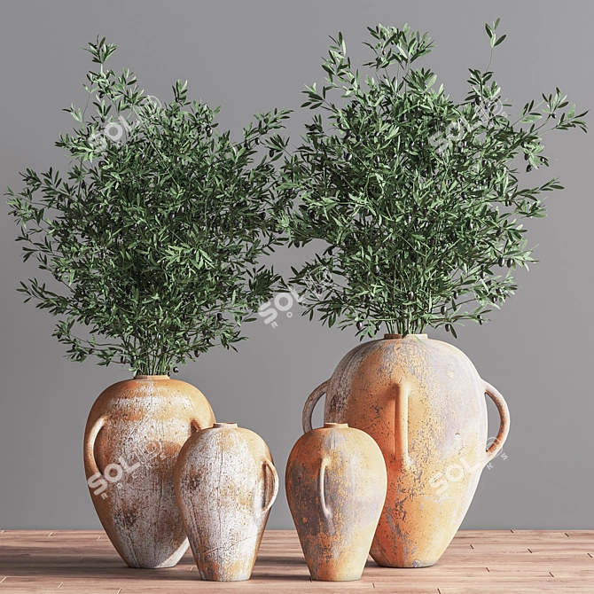 Olive Indoor Plant Set 08: Stunning 3D Models 3D model image 3