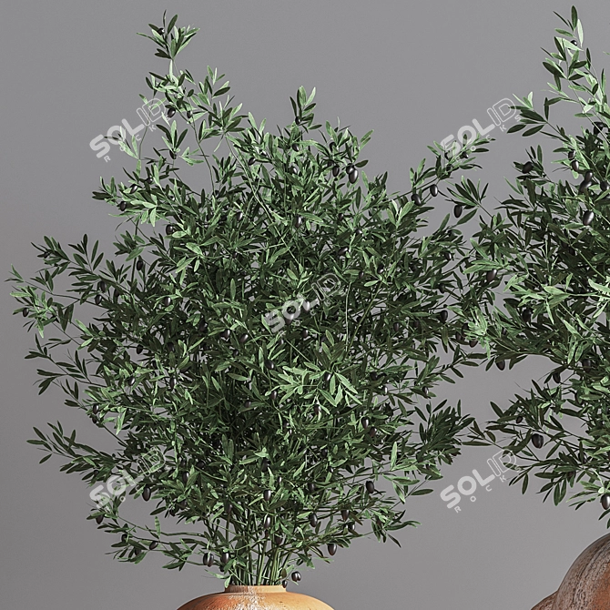 Olive Indoor Plant Set 08: Stunning 3D Models 3D model image 5