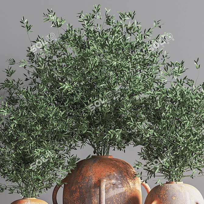 Olive Indoor Plant Set 08: Stunning 3D Models 3D model image 6