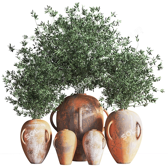 Olive Indoor Plant Set 08: Stunning 3D Models 3D model image 7