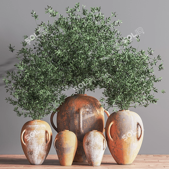 Olive Indoor Plant Set 08: Stunning 3D Models 3D model image 9