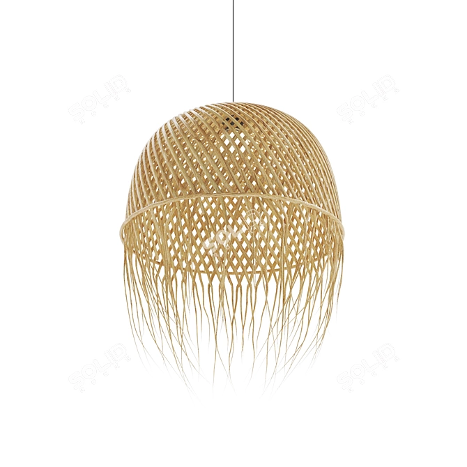 Handmade Rattan Pendant Lamp 3D model image 4