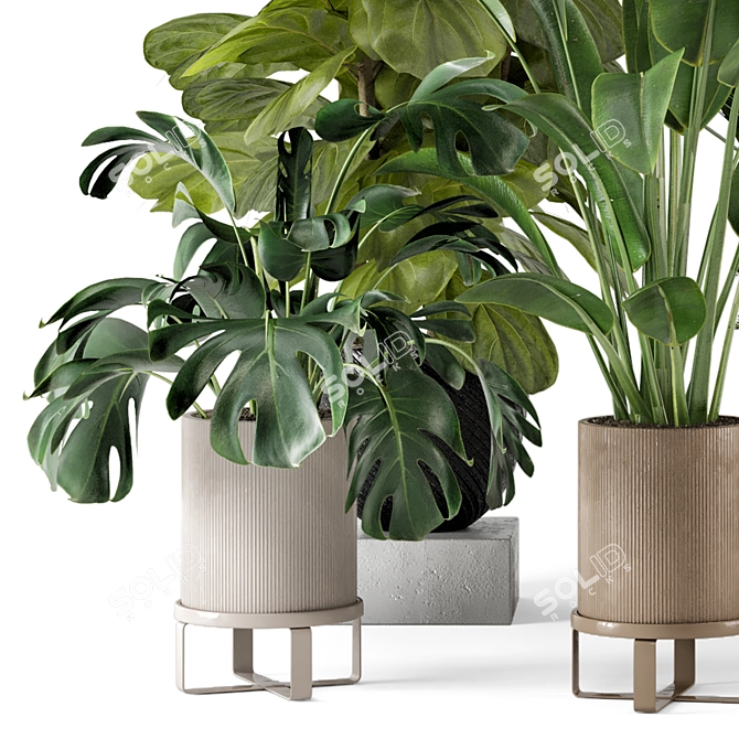 Ferm Living Bau Pot Large - Set 333: Stylish Indoor Plants 3D model image 2