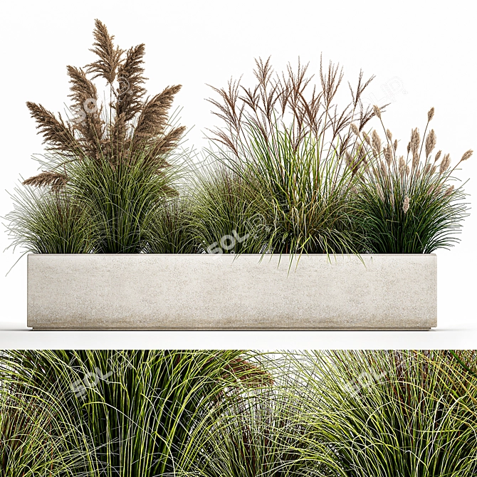 Exotic Greenery: Plants for Indoor/Outdoor Decoration 3D model image 1