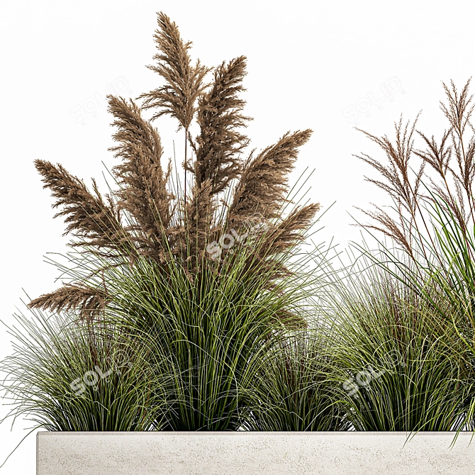 Exotic Greenery: Plants for Indoor/Outdoor Decoration 3D model image 2