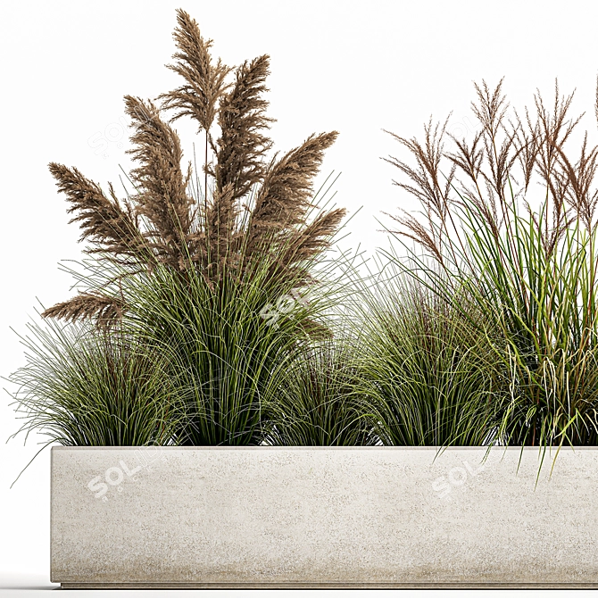 Exotic Greenery: Plants for Indoor/Outdoor Decoration 3D model image 6