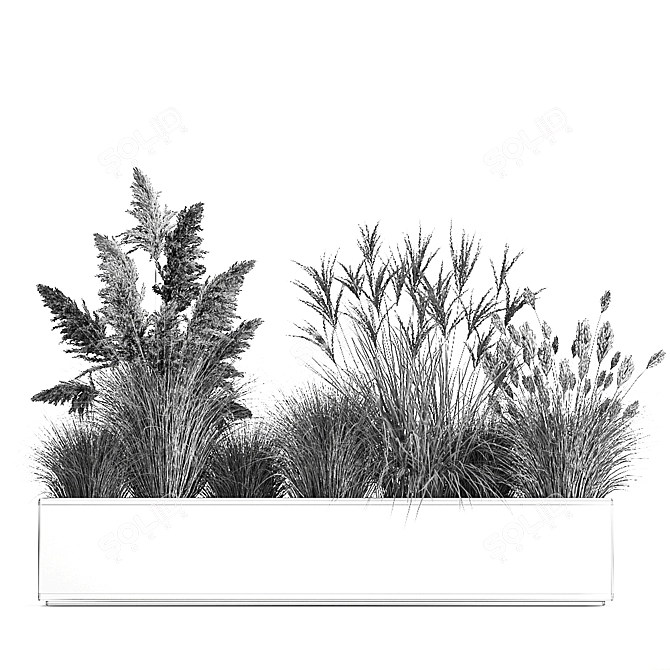 Exotic Greenery: Plants for Indoor/Outdoor Decoration 3D model image 7