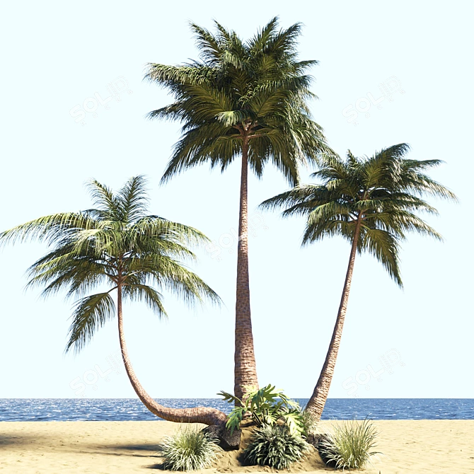 Coastal Palm Garden: Resort Paradise 3D model image 2