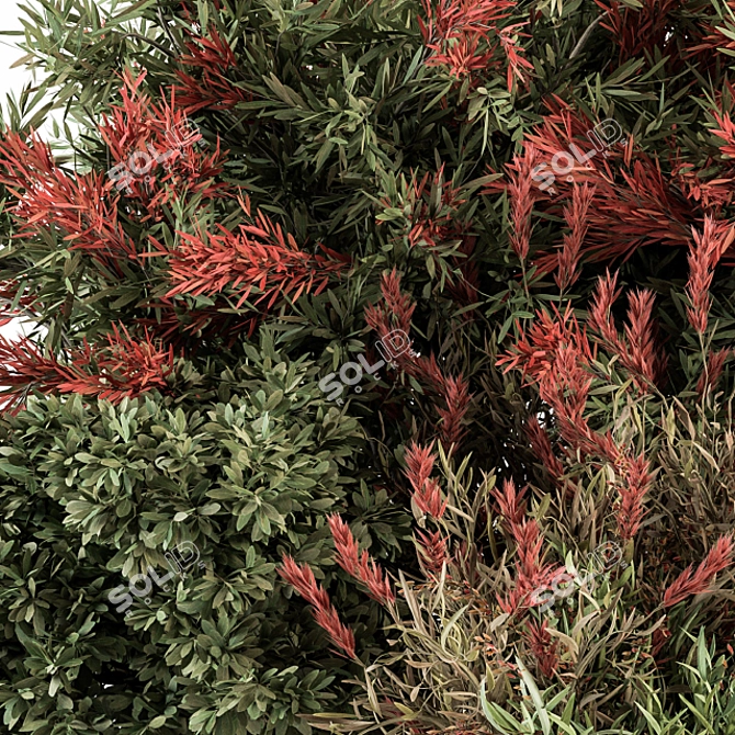 Green and Red Mixed Plant Bush - Set of 51 Bushes 3D model image 2