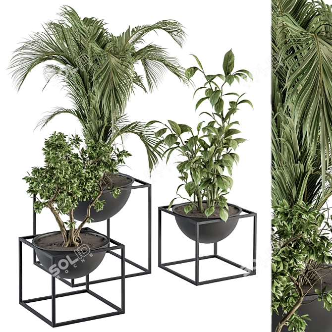 Sleek Greenery: Indoor Plant Set 3D model image 1