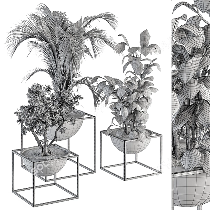 Sleek Greenery: Indoor Plant Set 3D model image 5