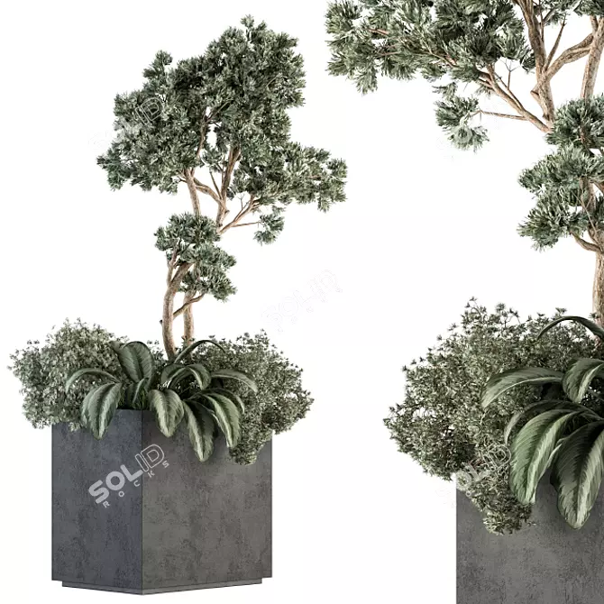 Concrete Box Plant Set - Outdoor 329 3D model image 1