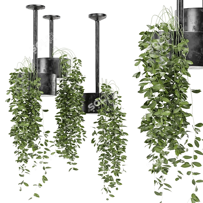 Metal Box Hanging Plant Set 3D model image 1