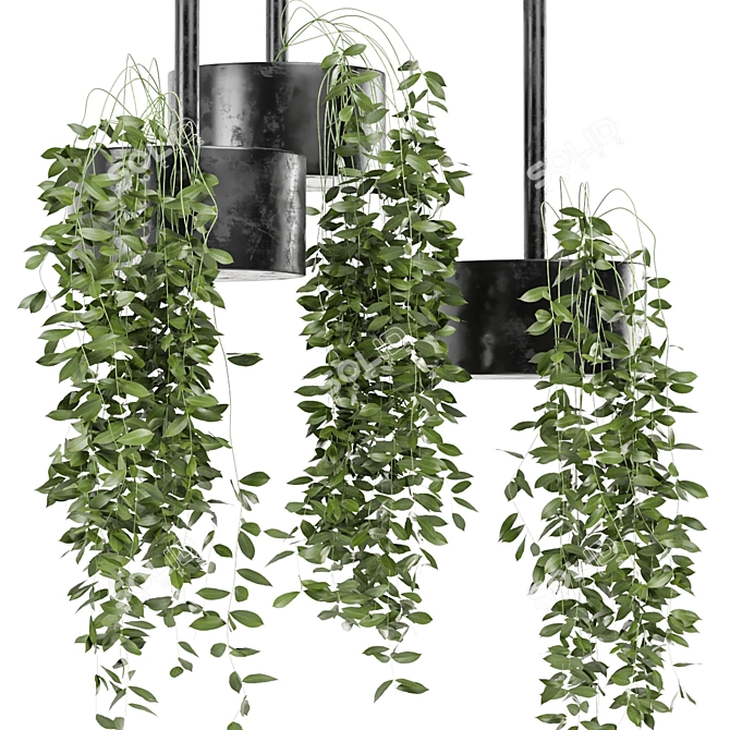 Metal Box Hanging Plant Set 3D model image 2