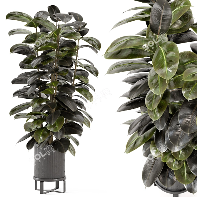 Ferm Living Indoor Plants Set - Bau Pot Large 3D model image 1