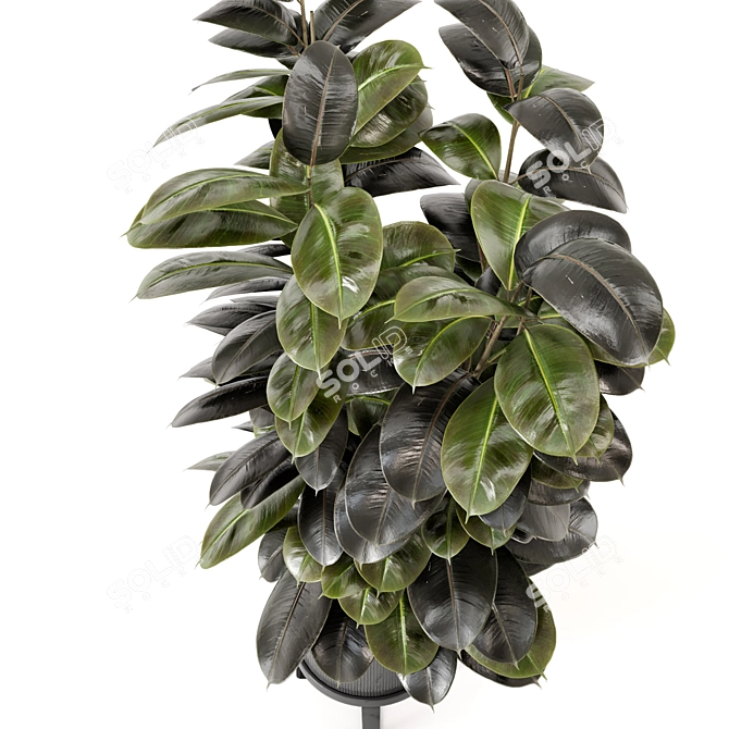 Ferm Living Indoor Plants Set - Bau Pot Large 3D model image 2