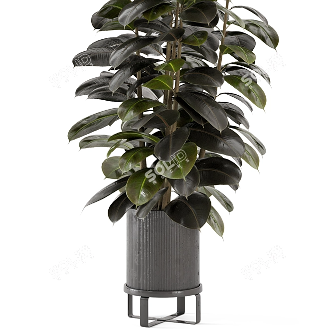 Ferm Living Indoor Plants Set - Bau Pot Large 3D model image 3