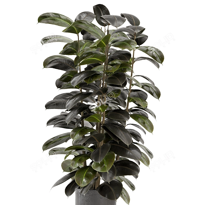 Ferm Living Indoor Plants Set - Bau Pot Large 3D model image 4