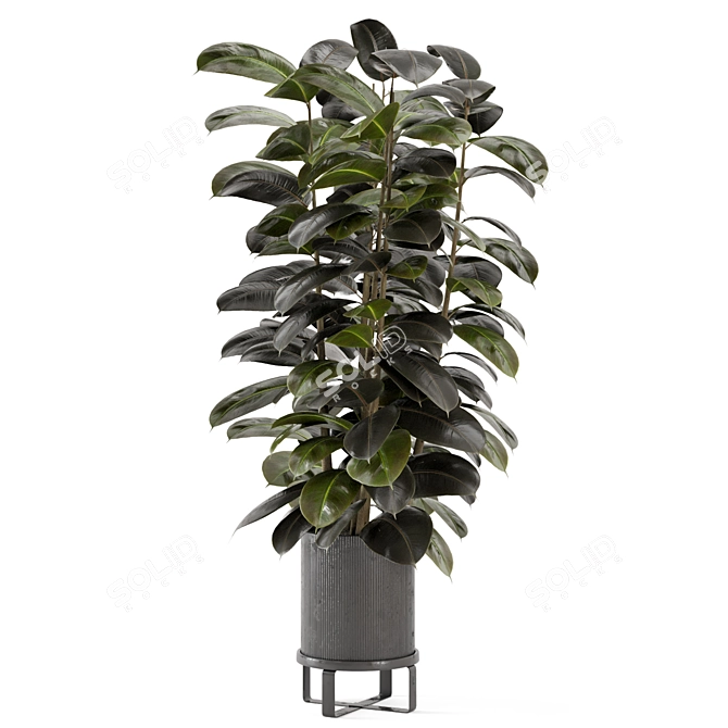 Ferm Living Indoor Plants Set - Bau Pot Large 3D model image 5