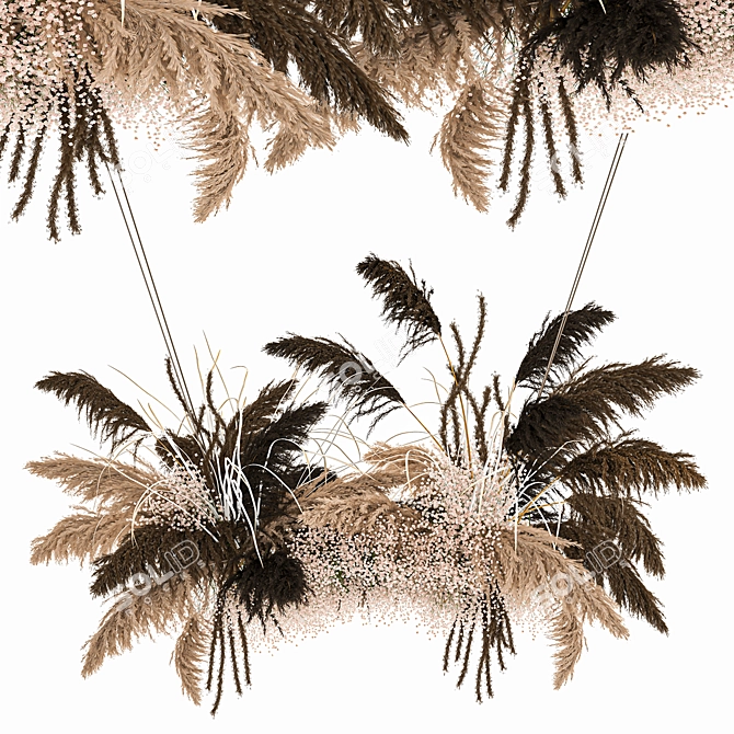 Reed Bouquet: Dry Florals for Stylish Decor 3D model image 1