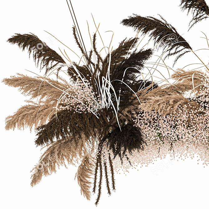 Reed Bouquet: Dry Florals for Stylish Decor 3D model image 2