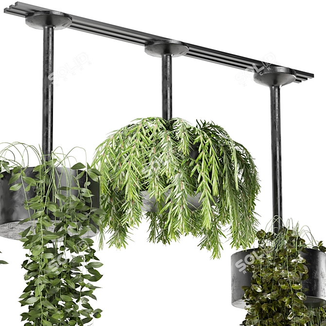 Metal Box Hanging Plants Set 3D model image 3