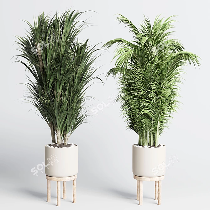 Exquisite Indoor Plant Collection with 155-Pot Palm, Ravenala, Ficus, and Rubber-lyrata in Wooden Vase 3D model image 2