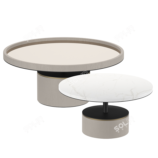 Elegant Paros Coffee Tables 3D model image 2