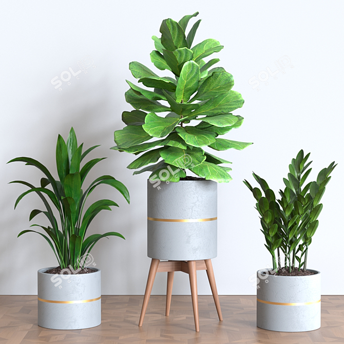 Green Oasis Plant Collection 3D model image 2