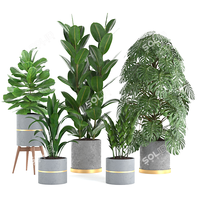 Green Oasis Plant Collection 3D model image 3