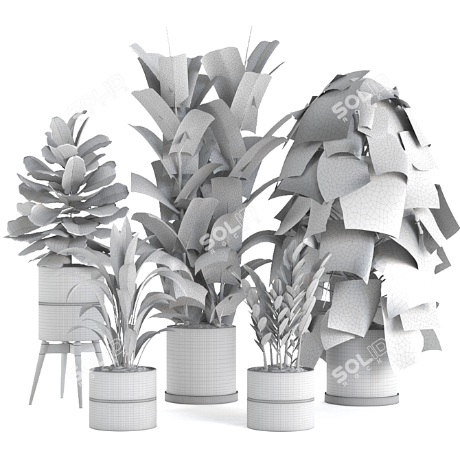 Green Oasis Plant Collection 3D model image 4